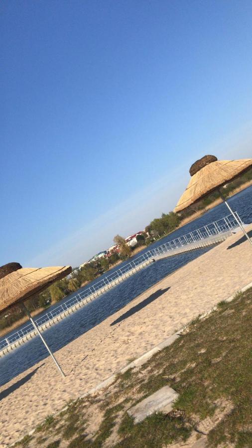 Camping Oaza Blonie Kornik Domki Standard - 3 Pokoje Buitenkant foto